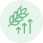 icon-plant-lines-up-1