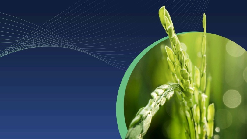 whitepaper--agricultural-volatility